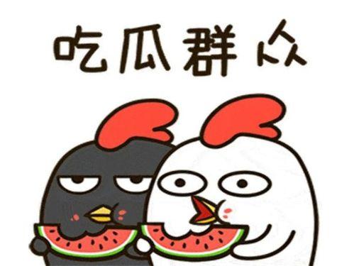 伙伴娱乐吃瓜,揭秘娱乐圈的“吃瓜”风云  第3张