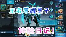 王者爆料大盗最新视频,游戏内重大更新与神秘新英雄曝光  第2张