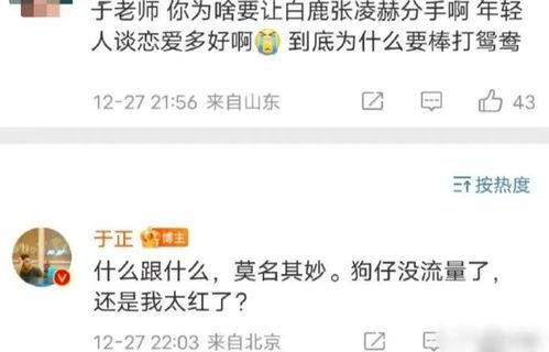 白鹿爆料绯闻视频播放全集,真相与谣言的交织  第3张