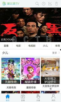 湖北卫视在线直播观看,精彩瞬间尽收眼底
