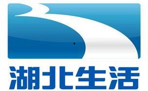 湖北卫视在线直播观看,精彩瞬间尽收眼底  第3张