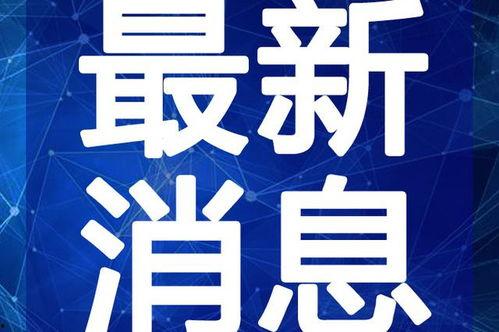 二爷最新爆料新闻视频下载,揭秘事件背后惊人真相